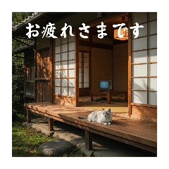 [LINEスタンプ] ほっとする昭和猫♡