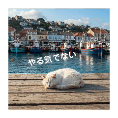 [LINEスタンプ] だらっと海辺猫♡