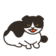 [LINEスタンプ] うごく。懐かない猫 - 黒白ハチワレ