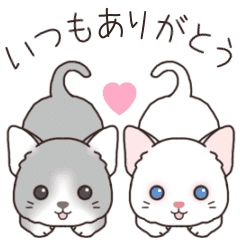 [LINEスタンプ] 猫スタンプ＃1『マンチカン』