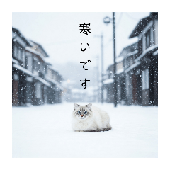 [LINEスタンプ] 雪と街とねこ♡