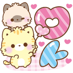 [LINEスタンプ] 気遣い思いやり言葉♡もこねこ色違いver