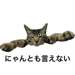 [LINEスタンプ] 僕、コロネ。