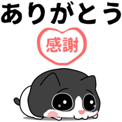 [LINEスタンプ] ハチワレ4.4ヵ月