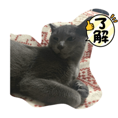 [LINEスタンプ] くまらいむかいみかん2