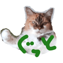 [LINEスタンプ] にゃんこの居処