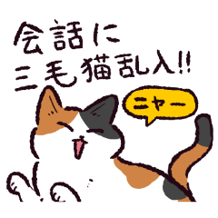 [LINEスタンプ] 三毛猫です.