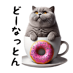 [LINEスタンプ] ブリティッシュショートヘアのスタンプpt3