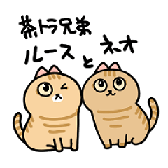 [LINEスタンプ] 茶トラ兄弟ルースとネオ