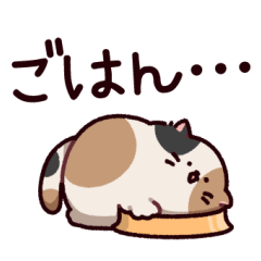 [LINEスタンプ] ご近所さんのみけねこ