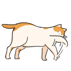 [LINEスタンプ] 白茶のねこ2