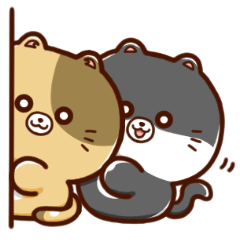 [LINEスタンプ] 毎日使える！ラテねこスタンプ