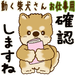 [LINEスタンプ] 動く柴犬さん 2025 「お仕事用」3