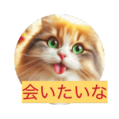 [LINEスタンプ] 猫で挨拶しましょう