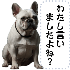 [LINEスタンプ] 【メッセージ】株式専業投資家フレブル