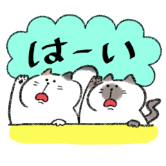 [LINEスタンプ] たぬきしっぽのネコ