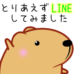 [LINEスタンプ] きゃぴばら【とりあえずLINE】