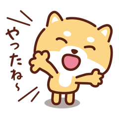 [LINEスタンプ] キュートな豆柴_ 今の思い