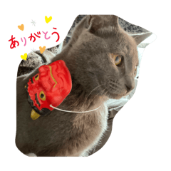[LINEスタンプ] くまらいむかいみかん