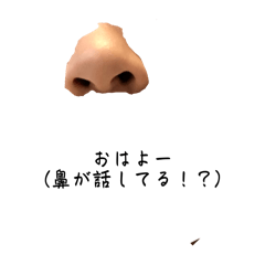 [LINEスタンプ] 鼻が話してるハナだけにスタンプ