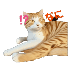 [LINEスタンプ] 猫ネコねこだらけ