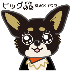 [LINEスタンプ] Big eye BLACKチワワ