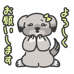 [LINEスタンプ] マルシーズーの女の子！表情豊かなスタンプ