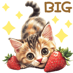 [LINEスタンプ] 猫たちの日常BIGスタンプ