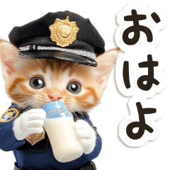 [LINEスタンプ] 毎日使える♡警察現場ねこ