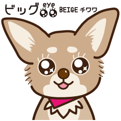 [LINEスタンプ] BIG eye BEIGEチワワ