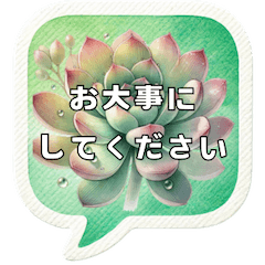 [LINEスタンプ] 多肉植物好き♪吹き出し【敬語】