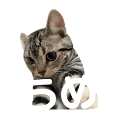 [LINEスタンプ] うめたんのすたんぷ