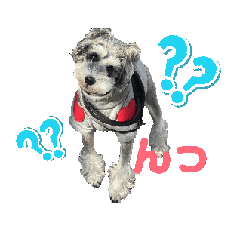 [LINEスタンプ] ラミちゃん3の画像（メイン）