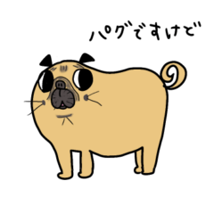 [LINEスタンプ] あたちパグのこうめ！！