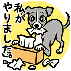 [LINEスタンプ] パピーイタグレ達の日常スタンプ