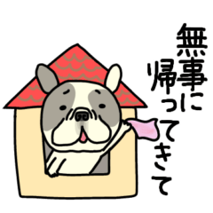 [LINEスタンプ] みんなのフレンチブルドッグ【家族連絡】