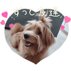 [LINEスタンプ] かわいいイヌラテくん