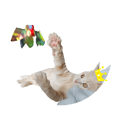 [LINEスタンプ] つぶコさちコ