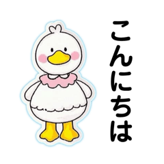 [LINEスタンプ] ず〜っと使える！かわいいアヒルの日常会話