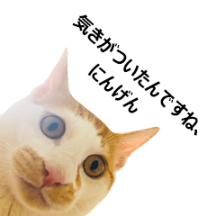 [LINEスタンプ] 気きがついたんですね、にんげん