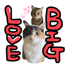 [LINEスタンプ] しげ卍チャンネル