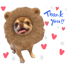 [LINEスタンプ] チワワのめろ♡もこ♡れも