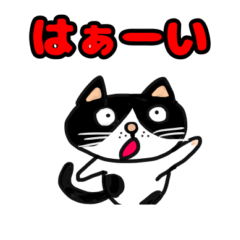 [LINEスタンプ] 我が家のネコちゃんマルモモ3