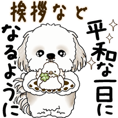 [LINEスタンプ] 動くシーズー犬 2025 「挨拶など」4