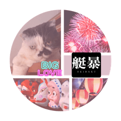 [LINEスタンプ] みーと時々艇暴