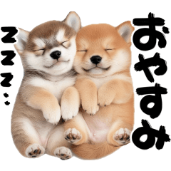 [LINEスタンプ] 筆文字♡柴犬