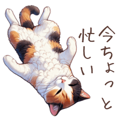 [LINEスタンプ] 寝転び猫の日常【三毛猫】