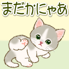 [LINEスタンプ] ネコ語でニャ～ニャ～ にゃんにゃんズ