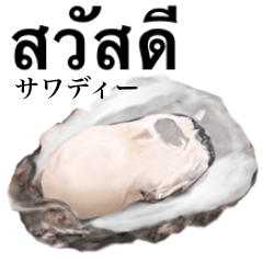 [LINEスタンプ] 牡蠣 大粒 【タイ語】