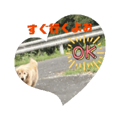 [LINEスタンプ] たけちゃん時々猫と犬